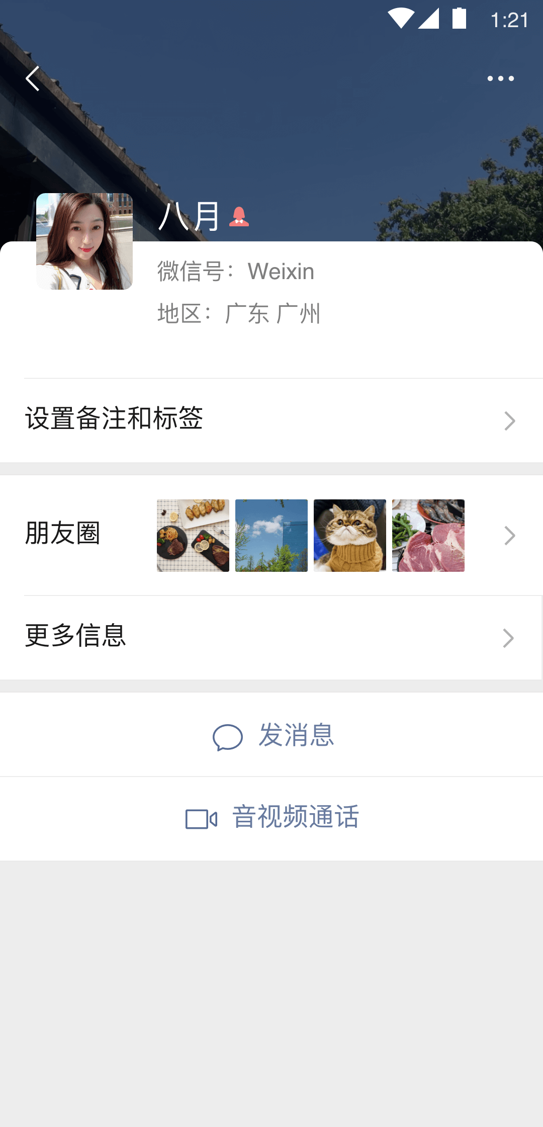 师资科工作总结截图